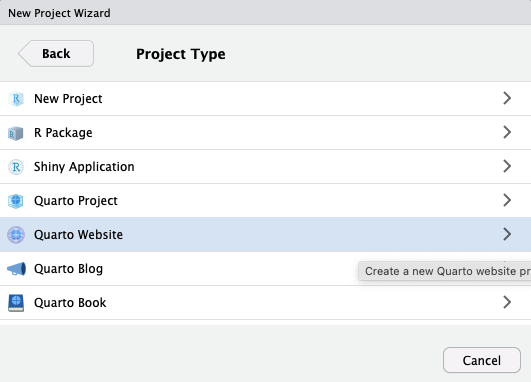 RStudio New Project Wizard, Project Type step, with Quarto Website selected.